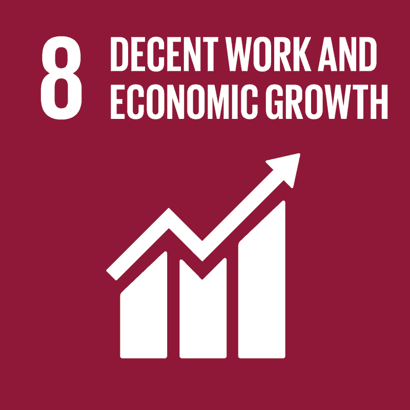 E SDG Goals Icons Individual Rgb 08