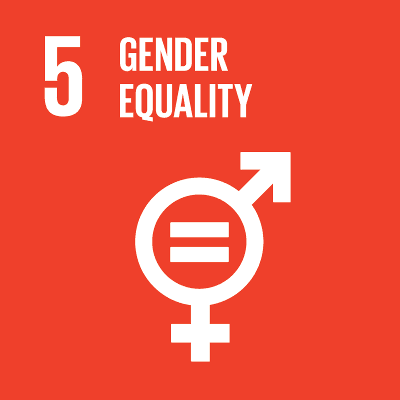 E SDG Goals Icons Individual Rgb 05